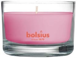 Svieka Bolsius Jar True Scents 50/80 mm, vonn, magnlia, v skle