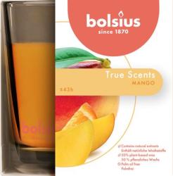 Svieka Bolsius Jar True Scents 95/95 mm, vonn, mango, v skle